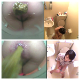 A hidden camera in an apartment records 9 girls shitting or pissing into a toilet rigged with a camera. Picture-in-picture shows action simultaneously. Some painfully hard poops! May contain scenes from previous clips. 720P HD. 757MB. Over 52 minutes.